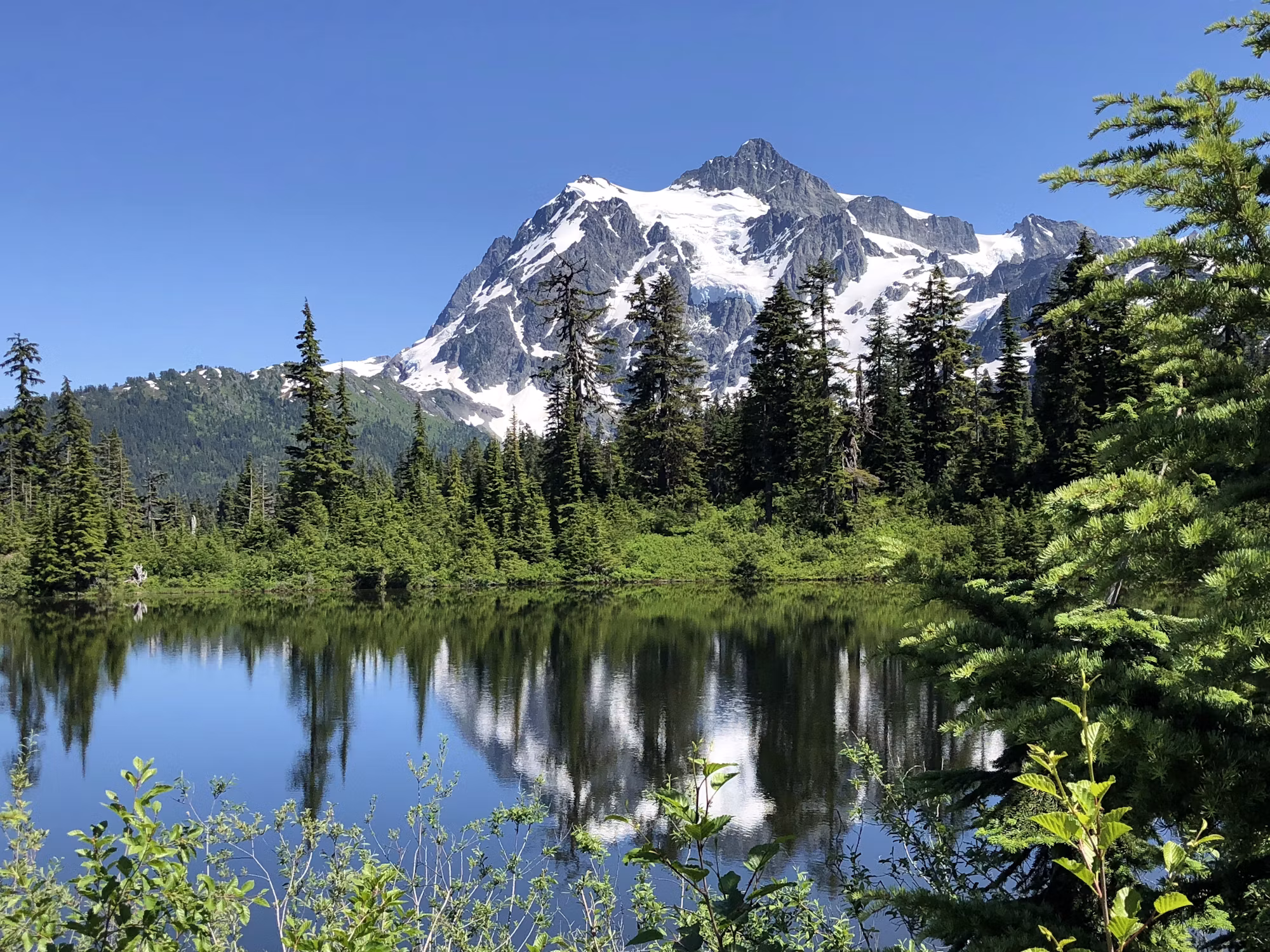 Finding Serenity in Nature: The Benefits of Forest Bathing