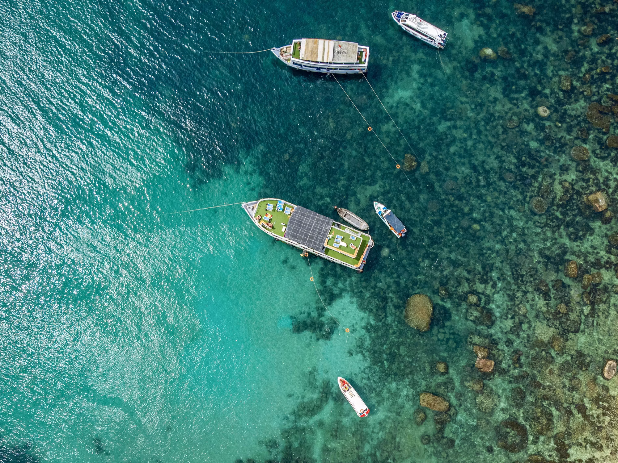 Discovering the Hidden Wonders of Shallow Seas: A Traveler’s Guide