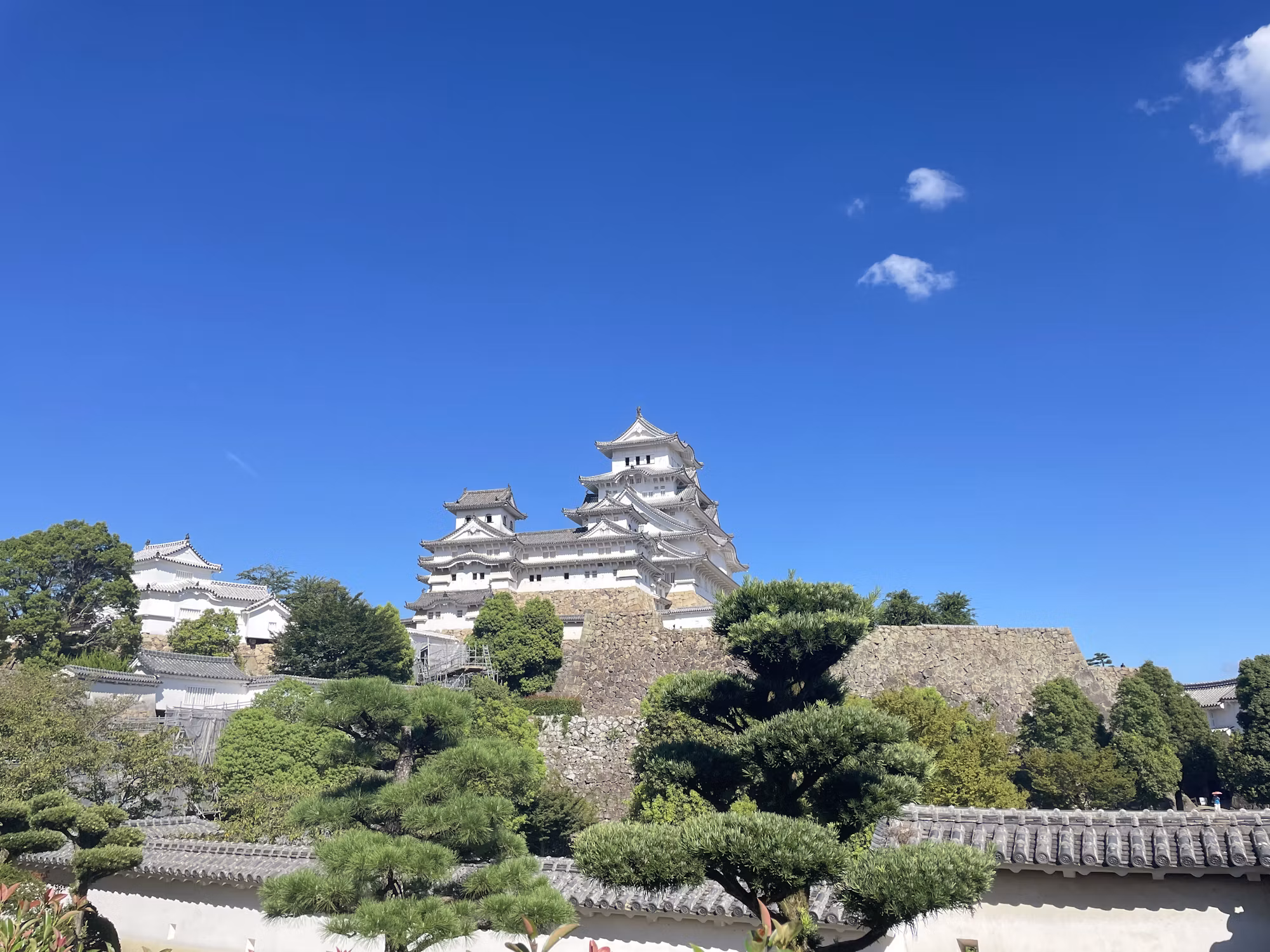 Exploring the Richness of Cultural Heritage Sites